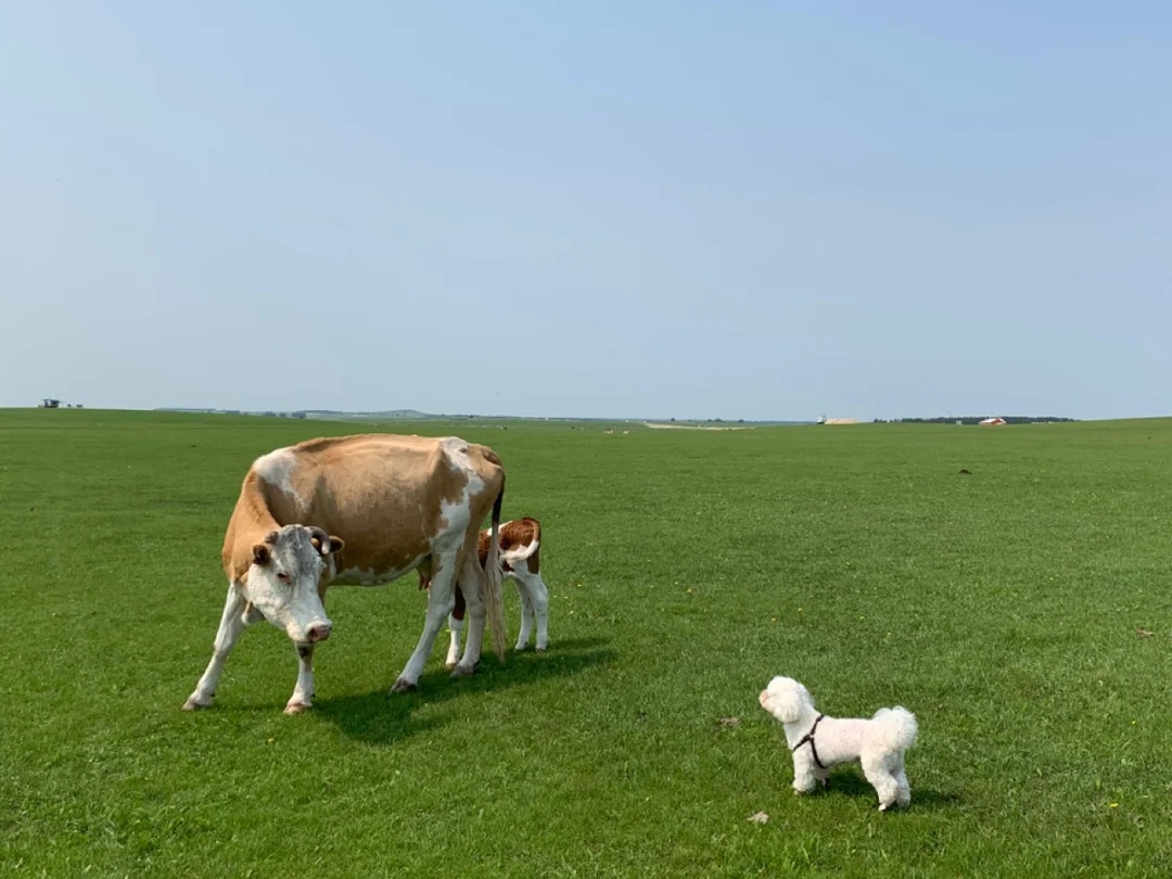 防控疫情出游十条建议,最新疫情旅行政策