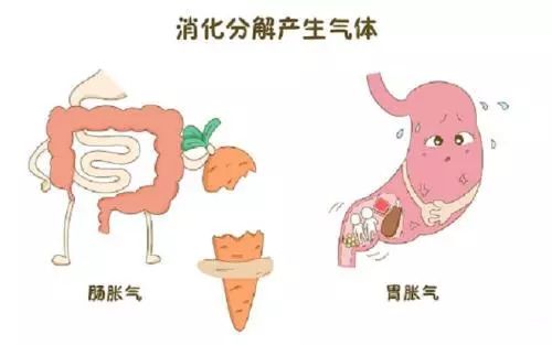 肛管排气有助于缓解放屁吗,肛肠坠胀总有便意放屁是肠癌吗