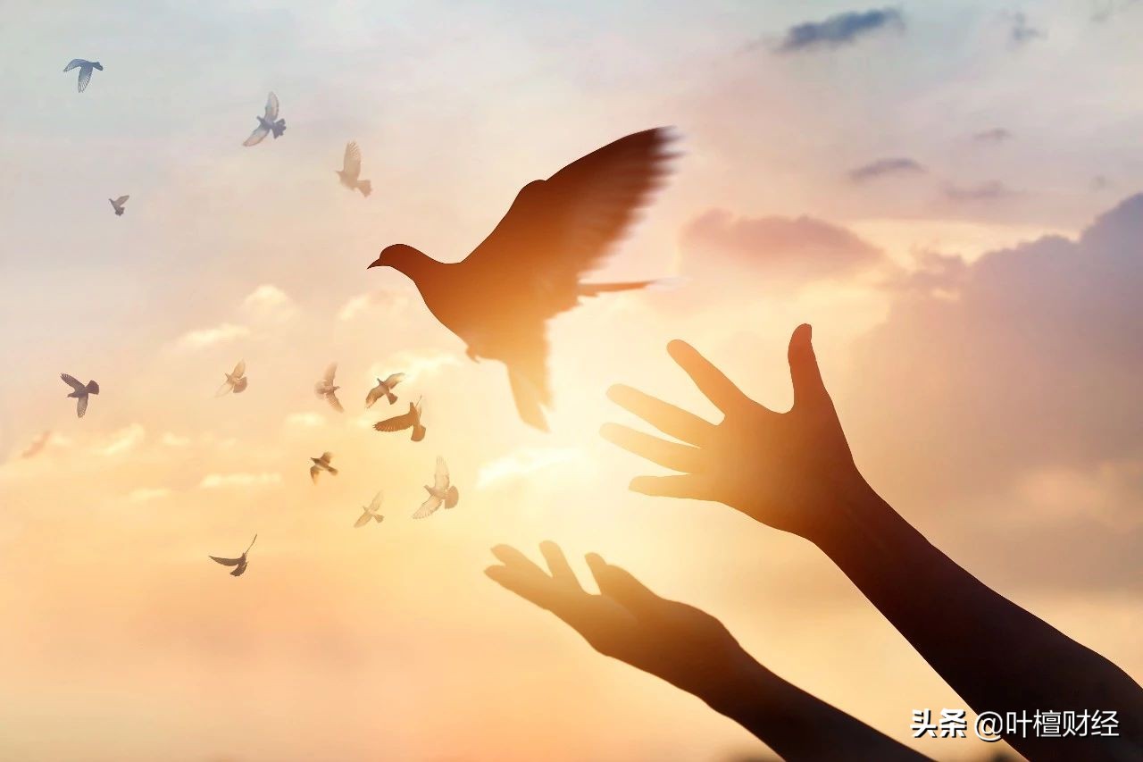 2024科创板,科创板001