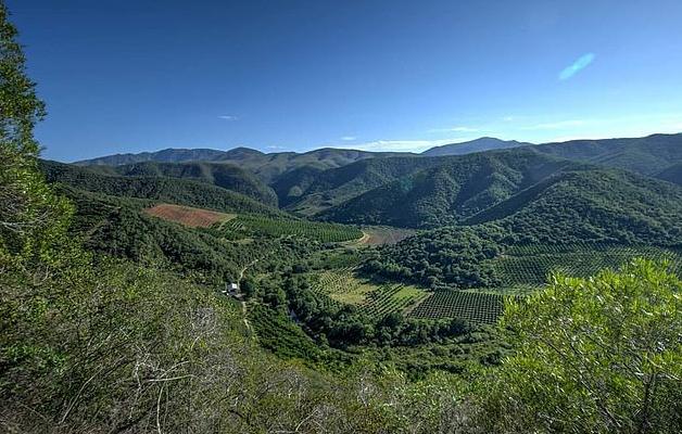 南非性侵罪,南非性侵案