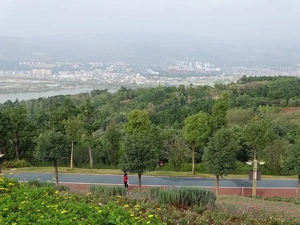 推动绿色发展（64）丨云南开远：污染之城蜕变为生态宜居之城