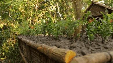 木棍怎么挖出泳池,一根棍子挖出一个游泳池