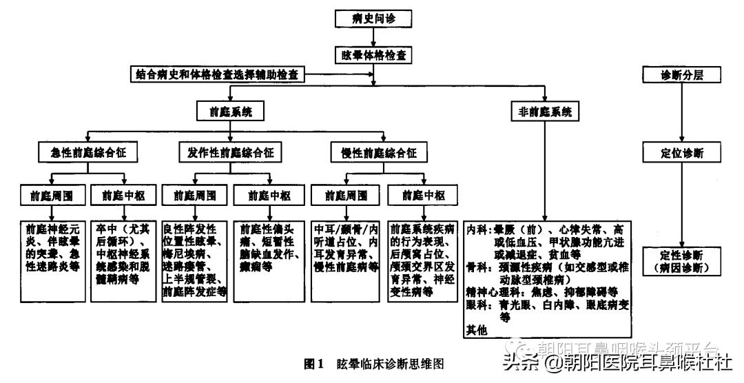 晕晕的系列六——眩晕莫慌，我们来帮