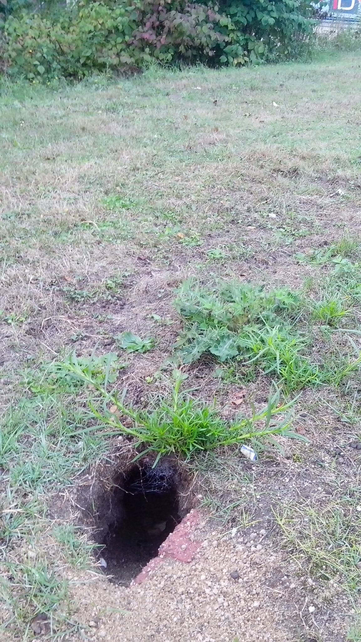 德国男人谨慎又开放，哪是真，哪是假，你怎么看？