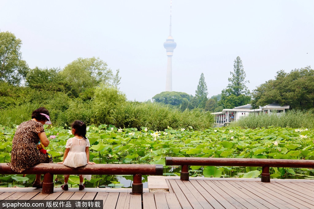 北京西站附近有哪些旅游景点免费,北京西站旅游景点攻略