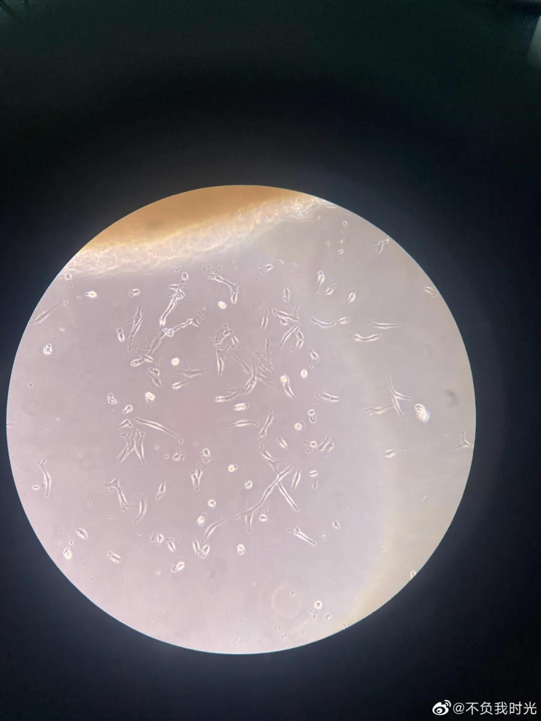 父亲自制药救儿子,为救儿子自制药的爸爸