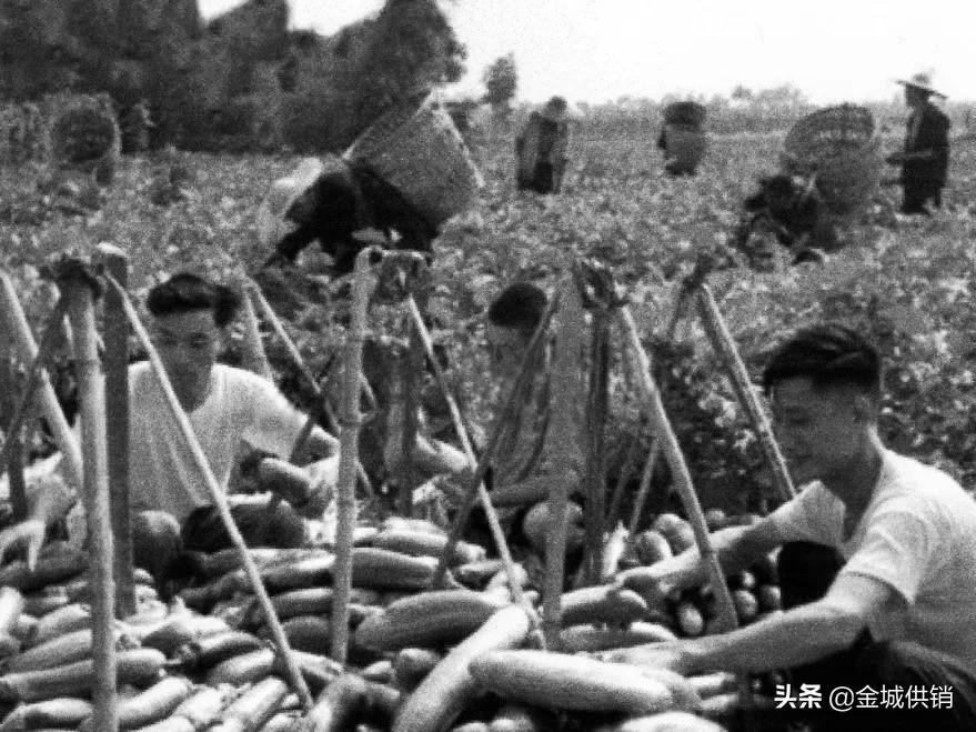 供销社基层合作社发展,供销社三农工作