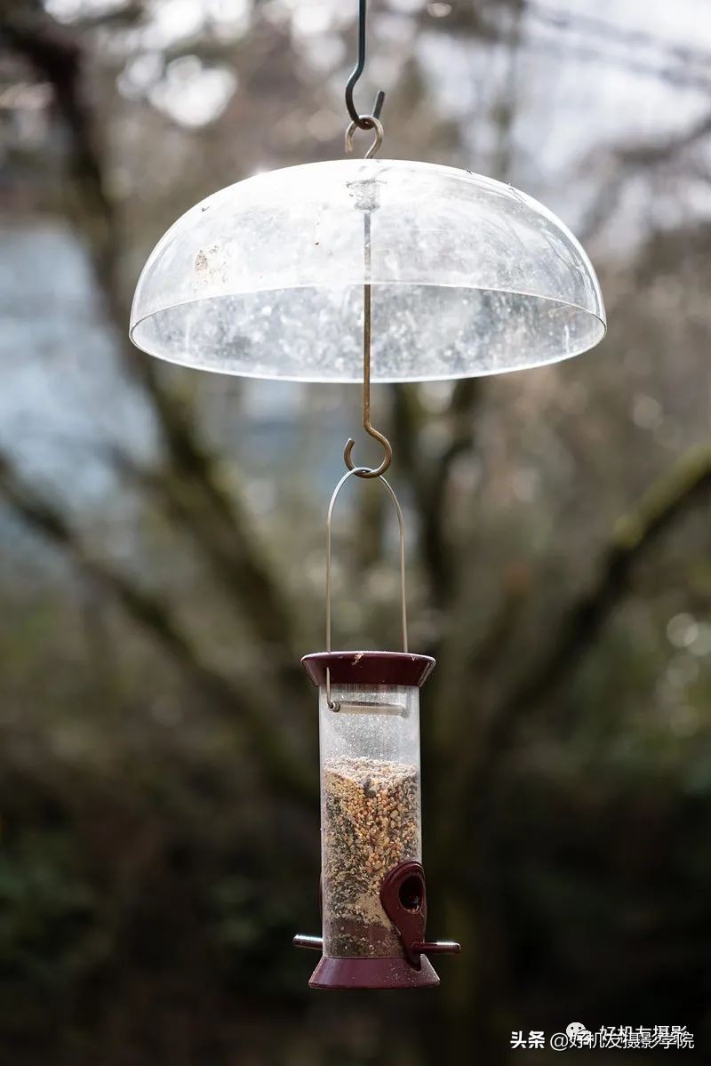 索尼全画幅适马和腾龙怎么选,腾龙和适马镜头哪个适合索尼微单