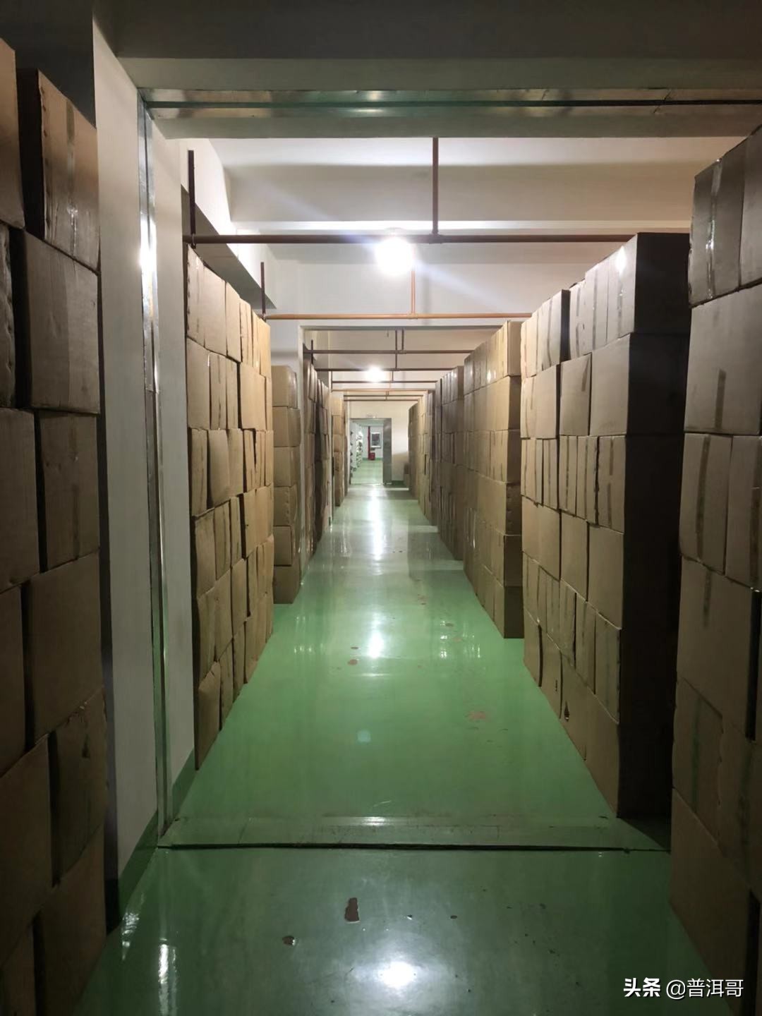 告诉你10点普洱茶的学费茶，你有没有交过学费？