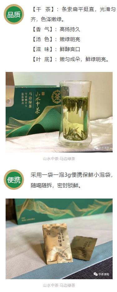 椹竟楂樺北浜戦浘缁胯尪,涓尪椹竟楂樺北缁胯尪