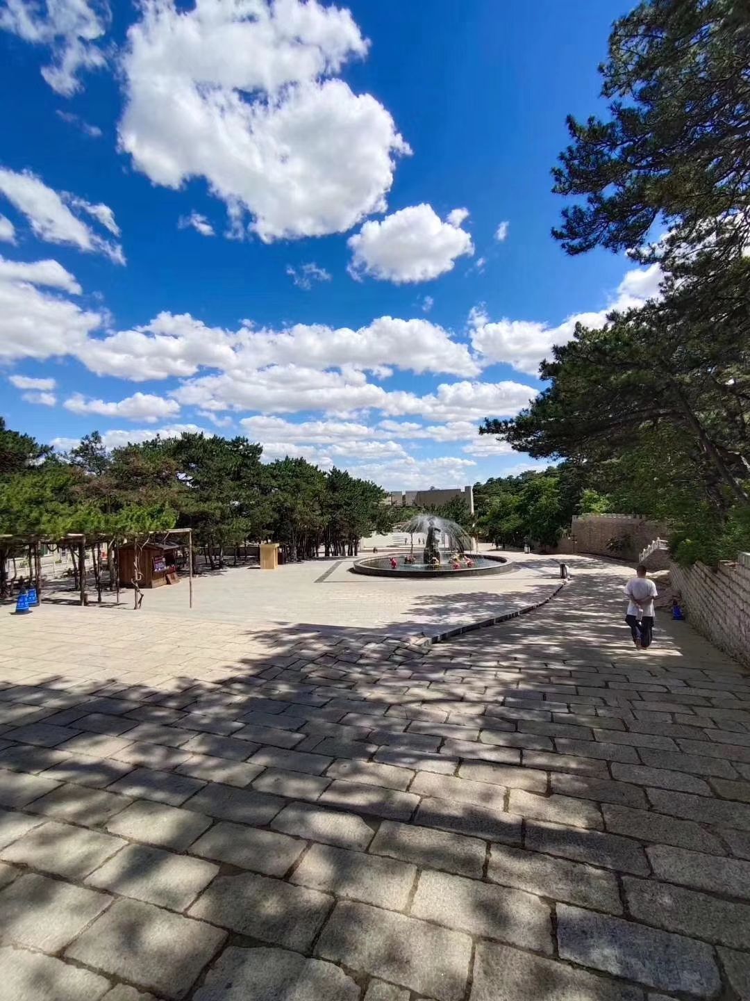 大连青岩寺歪脖老母怎么走,青岩寺歪脖老母在哪个城市