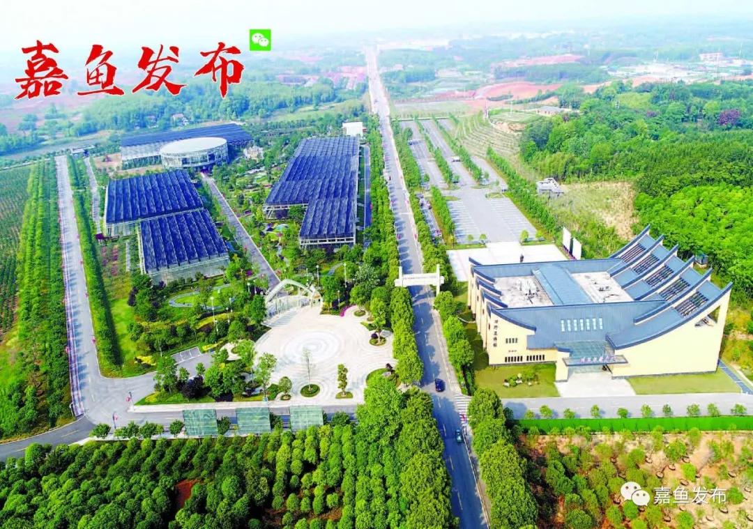 嘉鱼未来十年发展变化,嘉鱼是做什么行业的