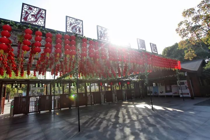 游走在沙家浜湿地公园,沙家浜风景区湿地渔乐园