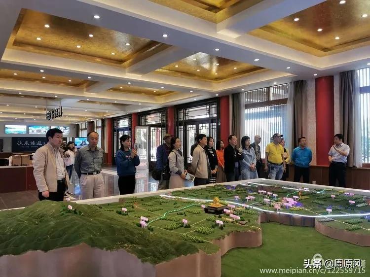 赴一场春日的邀约,五月赴一场与槐花的约会