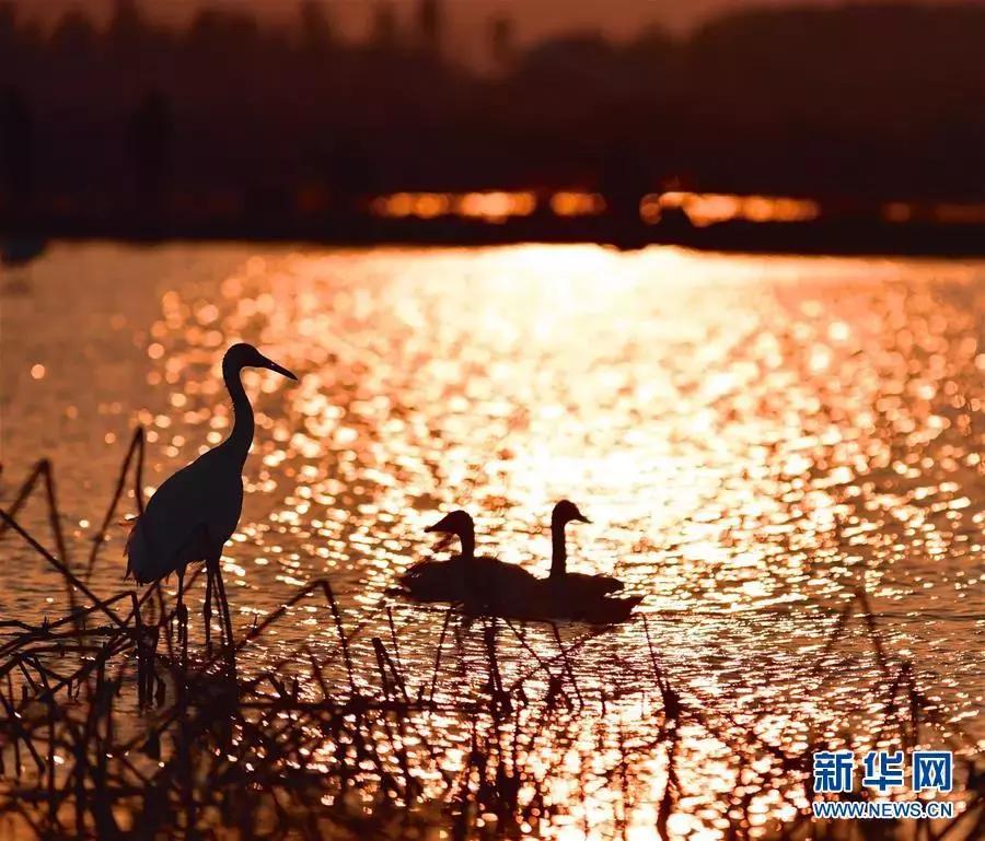 鄱阳湖最新,鄱阳湖为什么叫善变的湖