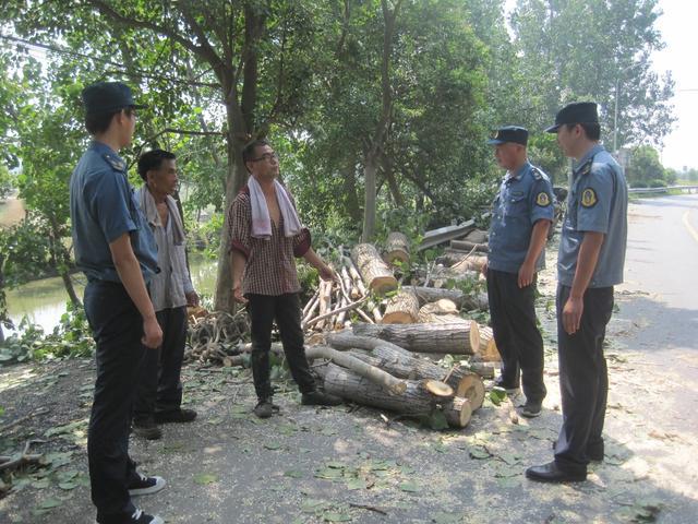 自家的树卖办砍伐证要多少钱,广西农民自家种树砍了被罚款