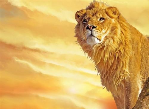 打牌戴表会赢吗,爱赌的人戴什么首饰最好