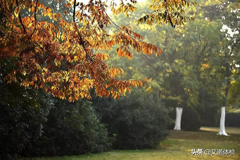 合肥景区免费景点,合肥旅游景点大全免费玩