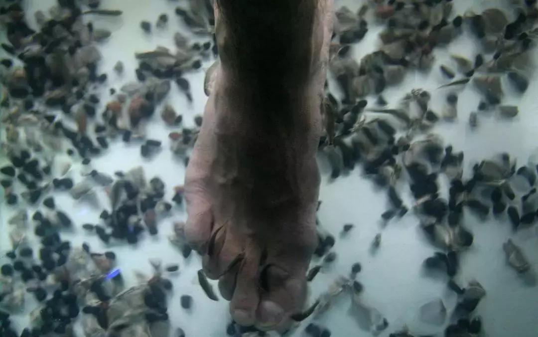 袜子和裤子能放一起吗,袜子和裤头能一起洗吗