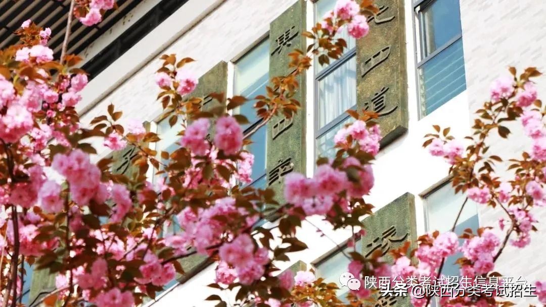 两汉三国,真美汉中|汉中职业技术学院