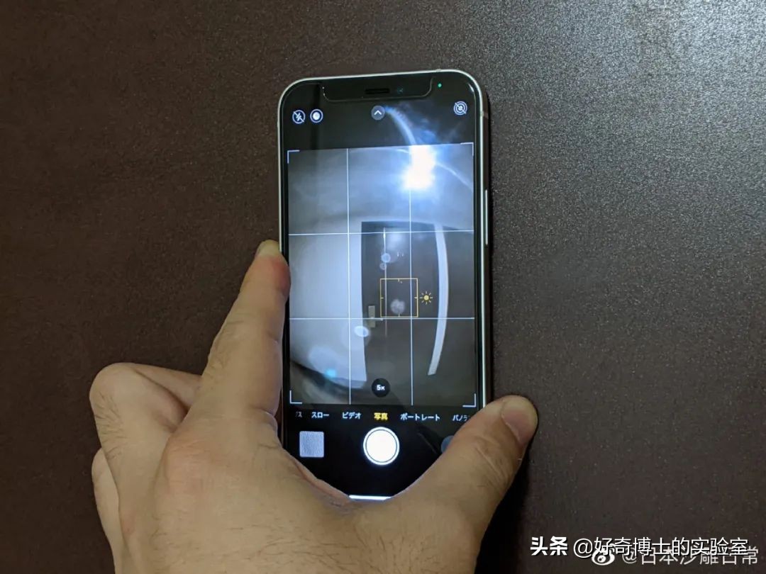 撸过猫撸过狗但你撸过“鱼”吗？