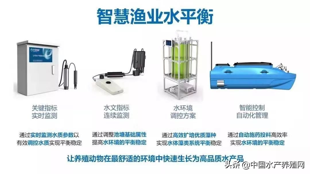 大数据+整体解决方案的新时代，看水世纪如何将智慧渔业水平衡全新指导概念，推动水产养殖业实现再一次飞跃