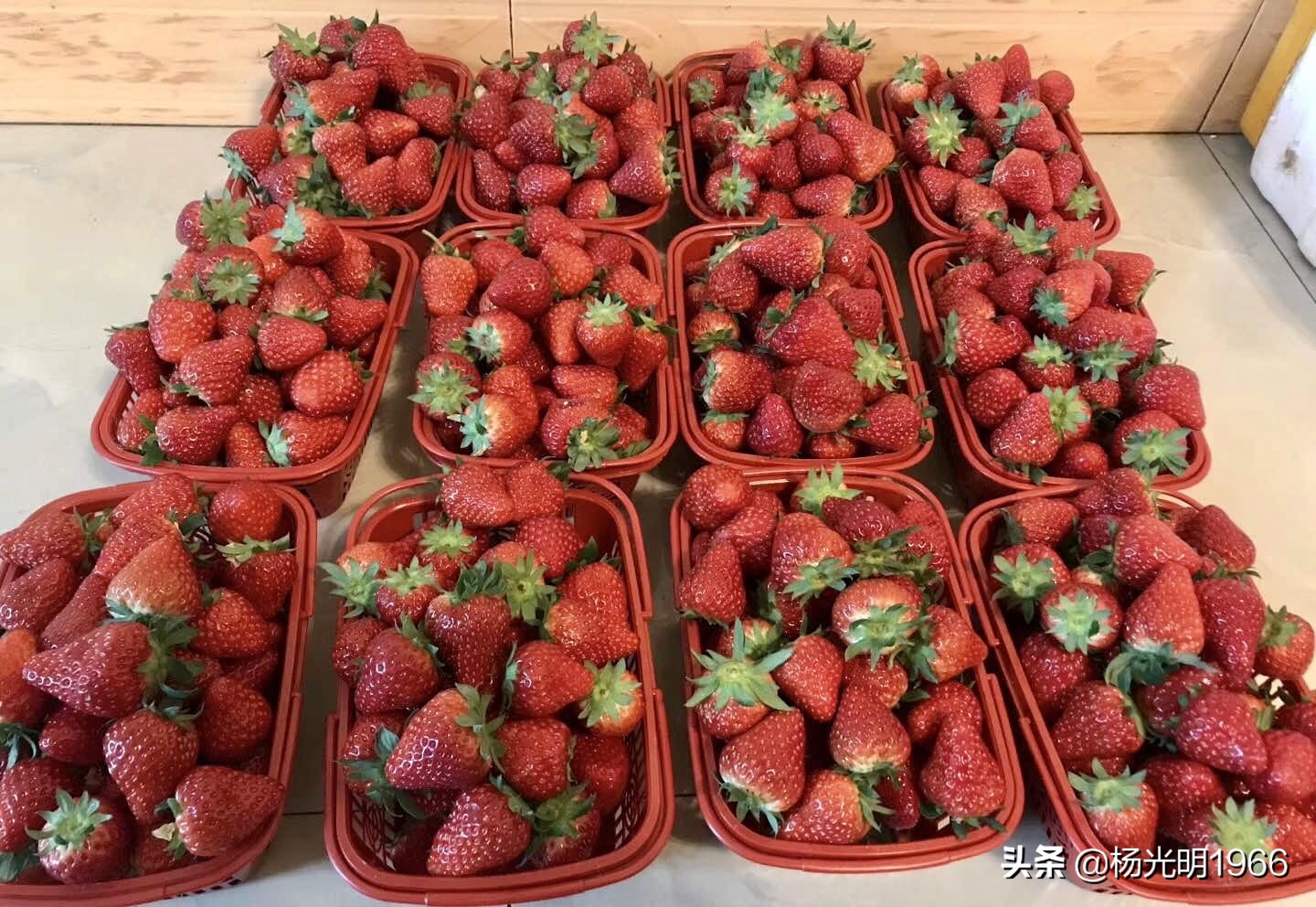 榛斾笢鍗楄嫍鏃忎緱鏃忚嚜娌诲窞鍑噷鑽夎帗 (鍑噷涓嬪徃鑽夎帗澶栭攢鎯呭喌)