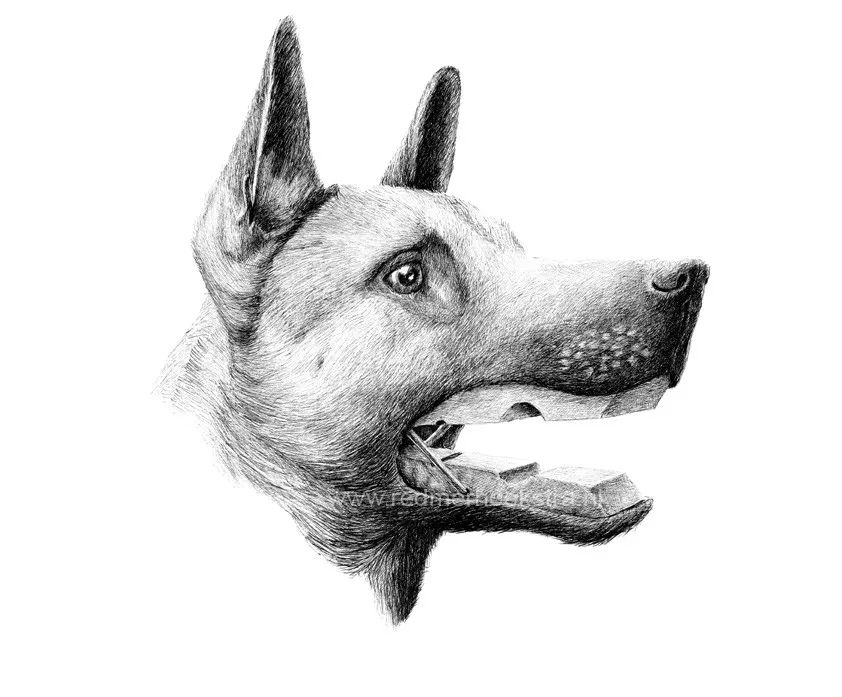 脑洞大开的创意绘画方式,脑洞大开的素描