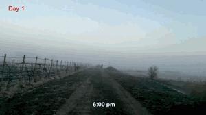 坚持健身70天的变形记，用努力换来身材奇迹！