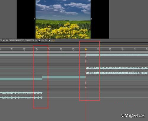 ae高手做的视频,ae大师新手入门教程