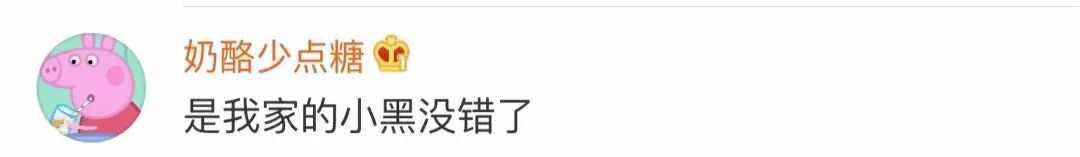 黑猫不吉利是谁说的,黑猫不吉利是真的吗