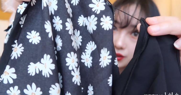 张大奕和雪梨小雏菊碎花裙,网红店铺张大奕