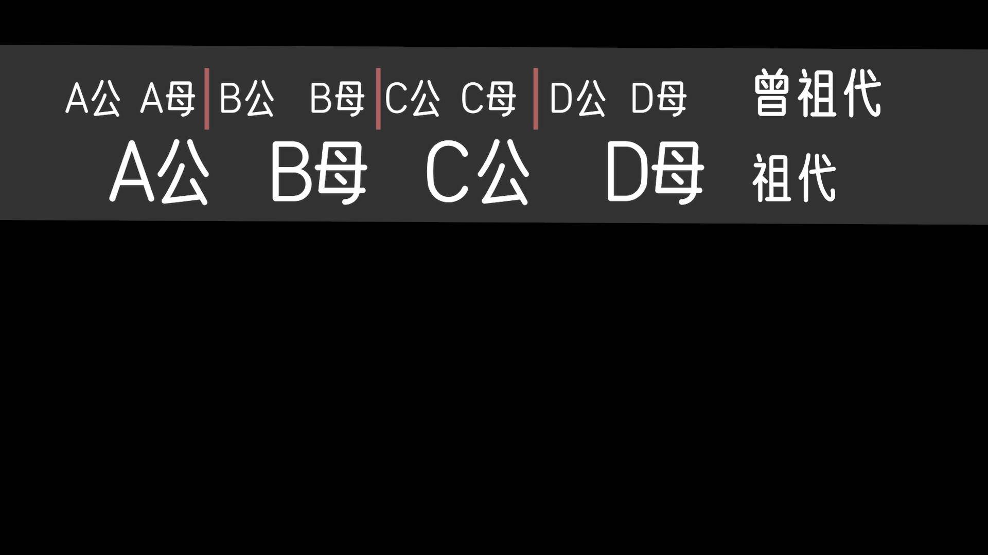 速生鸡与白羽鸡是什么,白羽鸡养殖技术和方法图解
