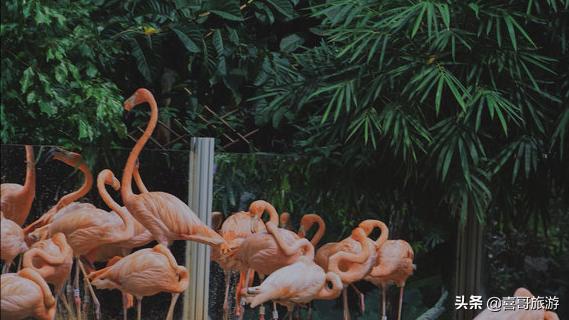 深圳到安徽自驾游沿途景点,广东深圳旅游景点推荐自驾游路线
