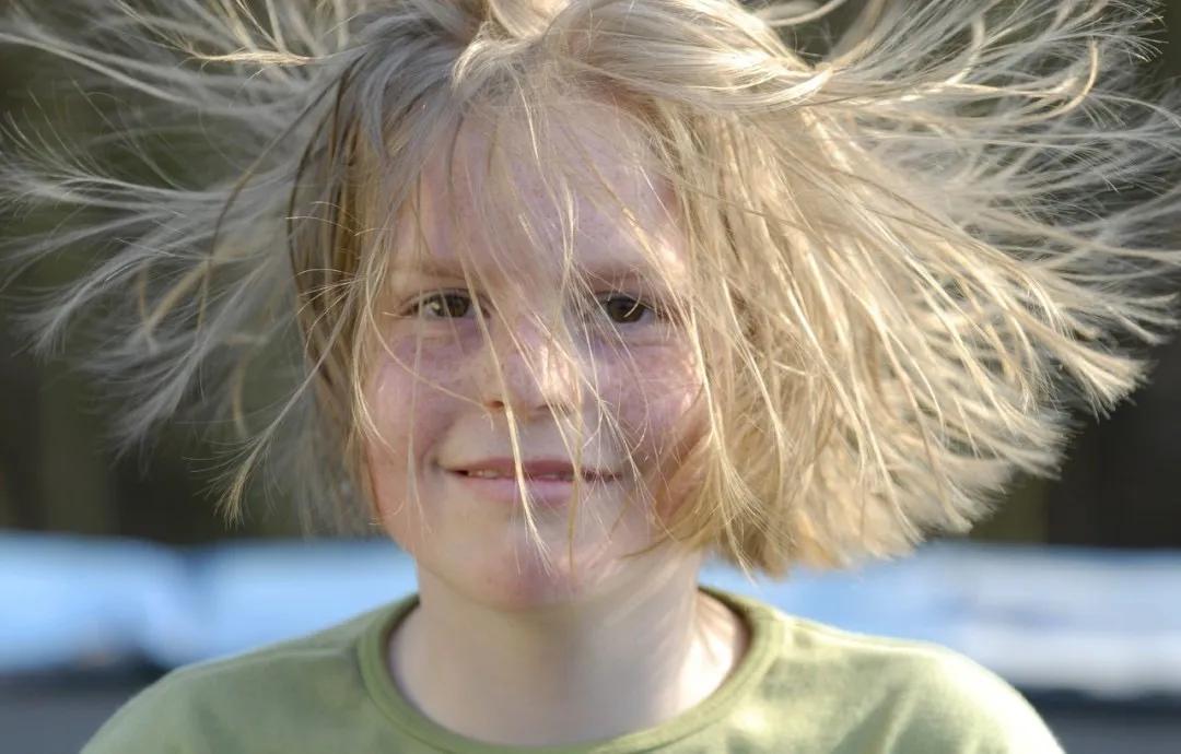 世界上最有趣的知识,世界上最好玩有趣的500个冷知识