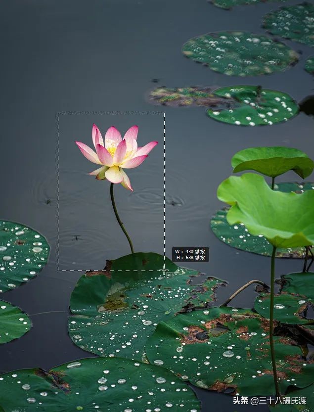 photoshop2022版本增加什么功能了,photoshop2020新版本界面