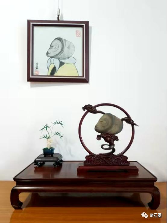 不瞒你说，这些石头你去了主人家里都未必能看到