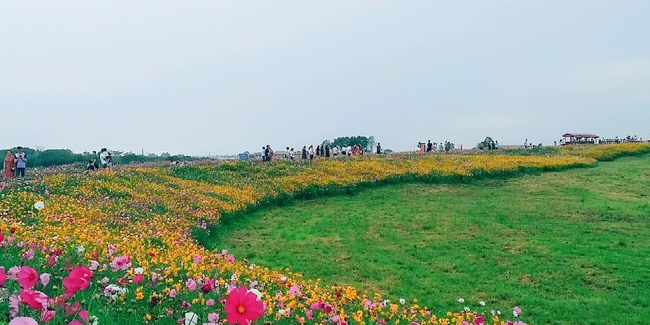 坐拥“中优”“南拓”双红利!