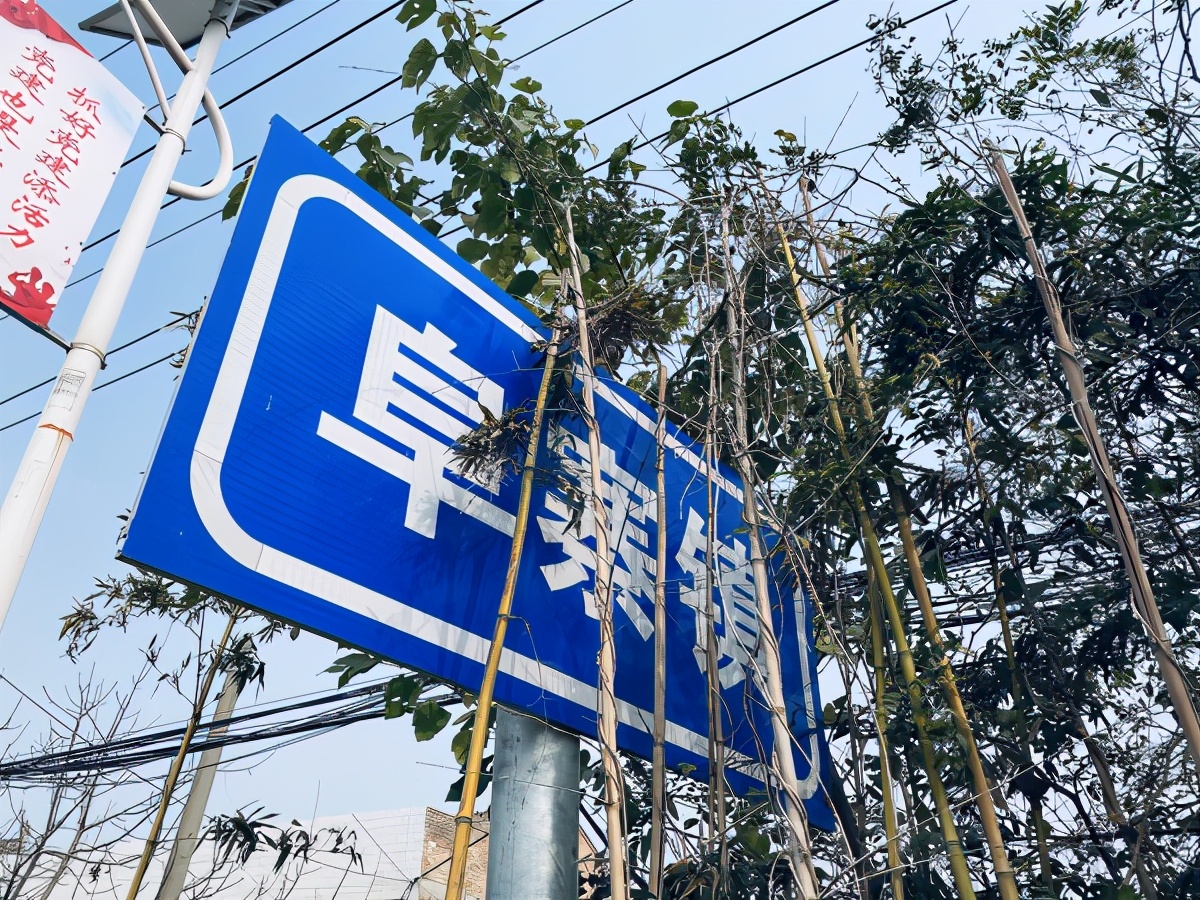 致命的霸凌结局,15岁少年因制止校园欺凌遭打死