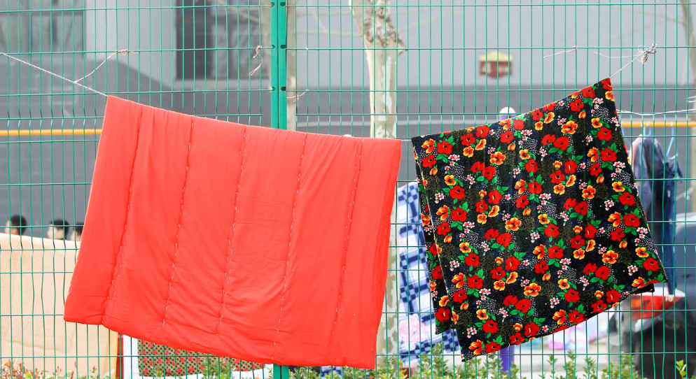 身上长痘、哮喘鼻炎可能都是螨虫惹的祸!除螨用这招,螨虫死光光