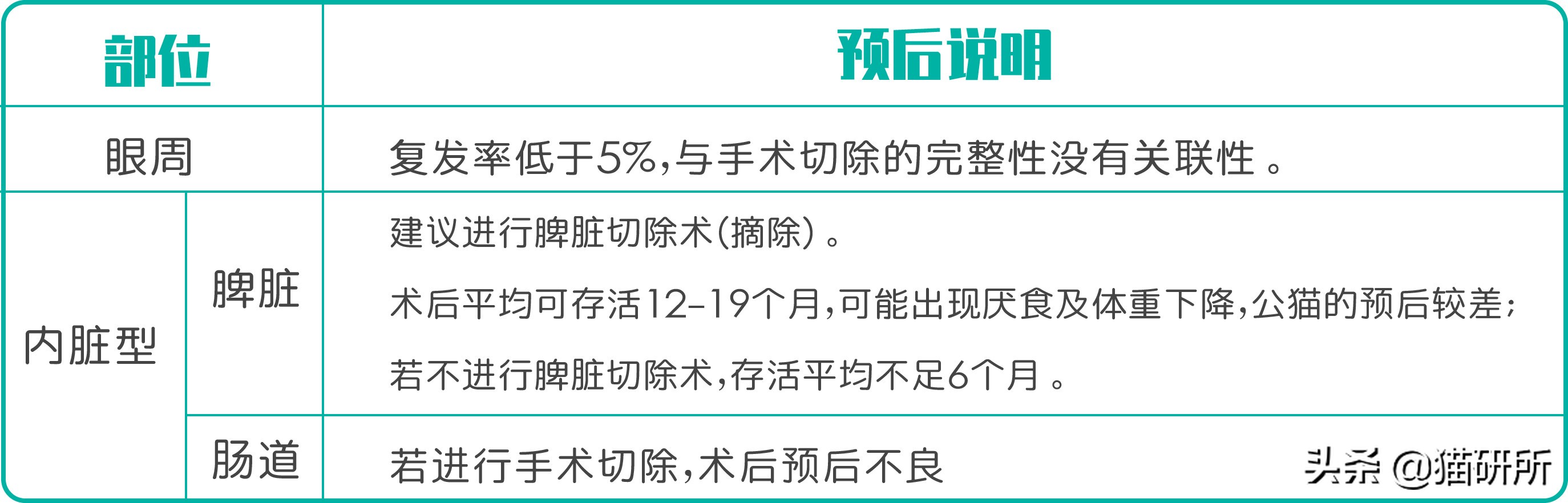 猫咪身上长包包怎么办,猫咪的面部神情跟铲屎官有关系