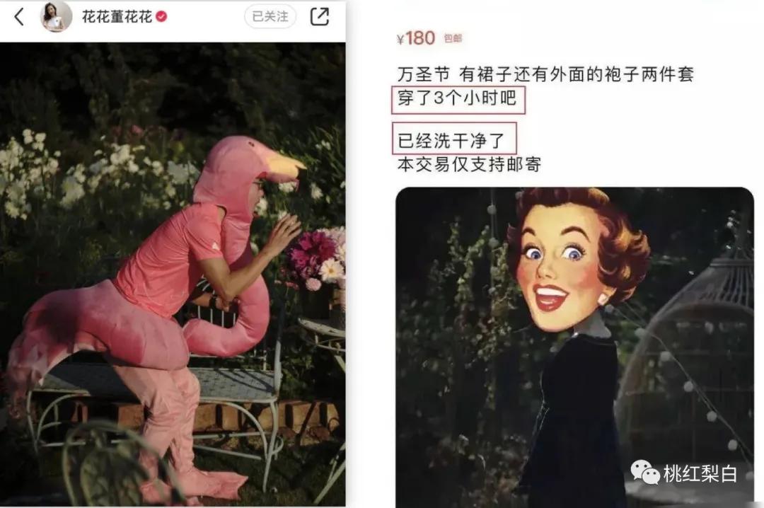 章泽天与董花花的关系,章泽天董花花