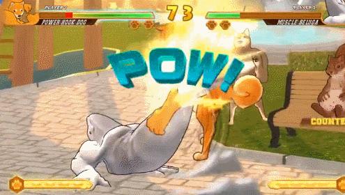 *兽禽**们搞起比利来有多“骚”？