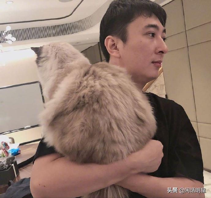 王思聪与网红孙一宁现状,王思聪与网红孙一宁最新动态