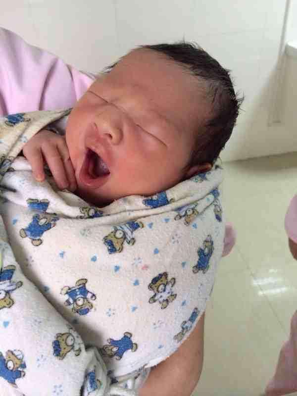 四眼看西游:镇元子的心机巧妙,利用人参果树扩大了五庄观的招生