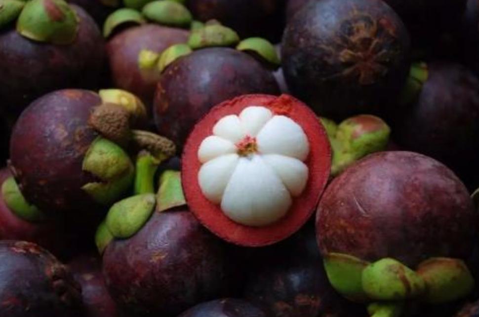 山竹被称为“水果皇后”,养生专家却提醒:以下几种人群不要吃!