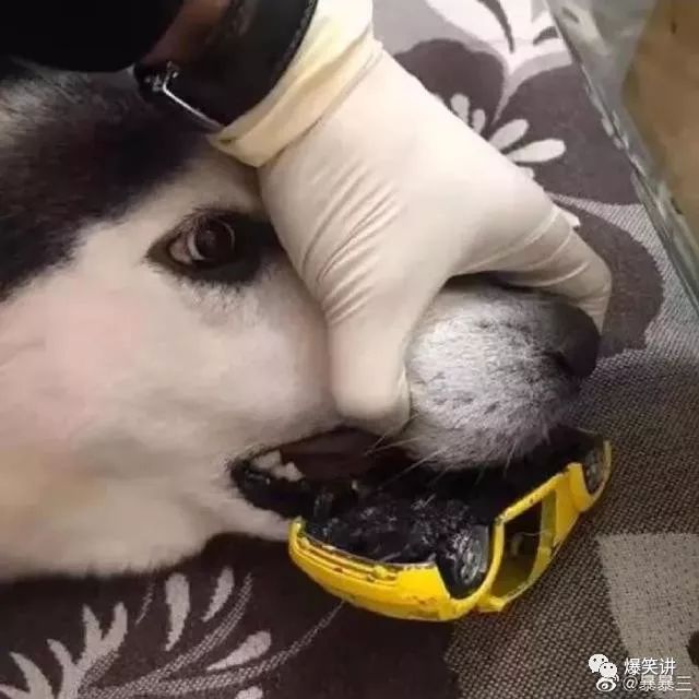 钢铁直男现场示范，如何做一个体贴的男人…哈哈哈哈哈哈哈哈