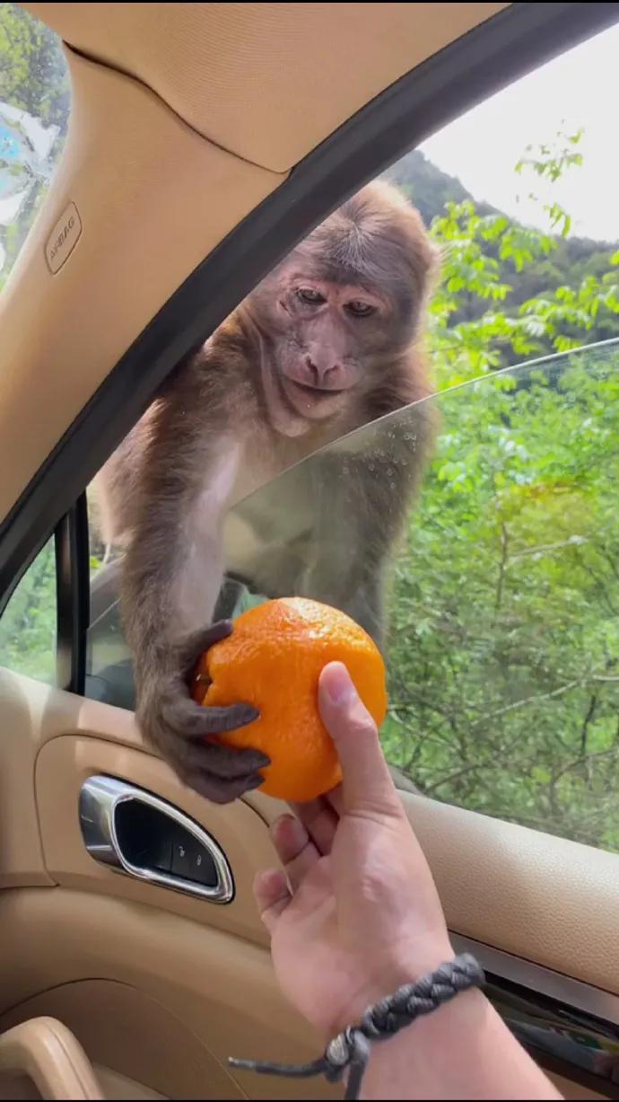 老公经常不在家怎么相处,老公失业在家做点什么能挣钱