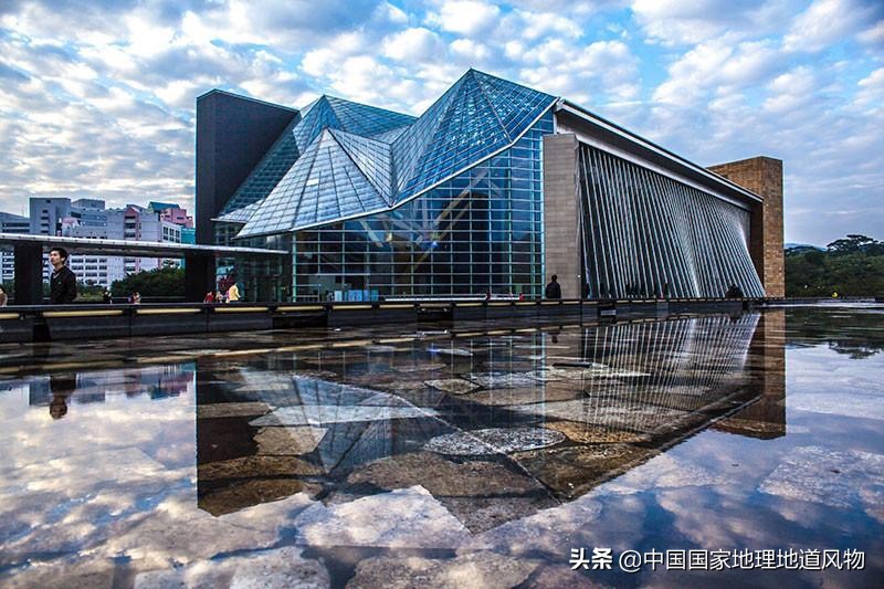 网友如何评价深圳这座城市,怎么夸赞深圳这个城市很美丽