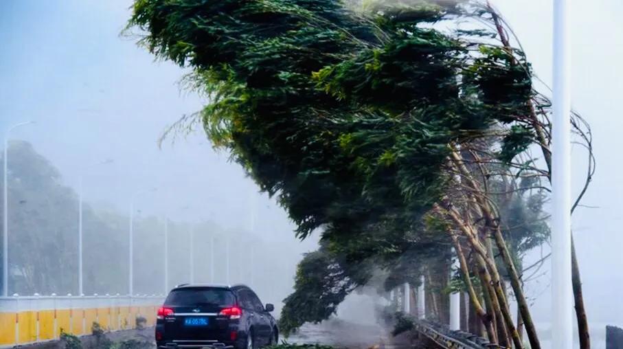 极端天气安全防范十条规定,关注天气预警落实好安全防护措施
